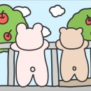 (주)약이되는밥상 이미지