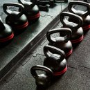 버썸버디짐 이미지