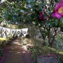 문화와 함께 즐기는 여행 일본어 이미지