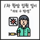 비지오에스 | 난소암 투병 기록 #2023.04.17~2023.04.20 : 첫 항암 후기 (카보플라틴, 파클리탁셀)