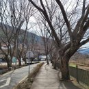 색장동공영주차장 이미지