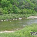 싸리골민박 이미지