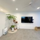 877 스테이 이미지