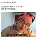 희망나무종합병원 | 2025 Nal Awards