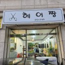 단골미용실 브런치