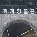 읽다가 사고나겠다 고속도로 터널 위 꾀끼깡꼴끈 글자 논란 기사 이미지