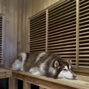 메르시 풀빌라 이미지