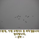 은파낚시