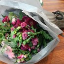 레몬라이프 이미지