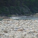 내린천민박 이미지