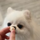 루이샵 이미지