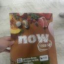 시니어세상 | 나우 그레인프리 스몰브리드 시니어 사료 내돈내산 후기