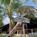 사오마트 이미지