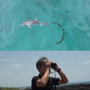 행운이네 이미지