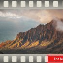 신화메디칼 이미지