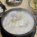 제주청정스팟