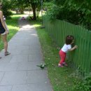 천사유치원 이미지