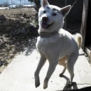 봇또랑낚시터 이미지