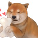 킹콩스팀 이미지