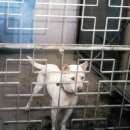 전의농장 이미지