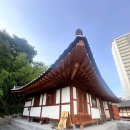 한옥애 | 내돈내산 강릉 영진한옥애 풀빌라 후기🏡