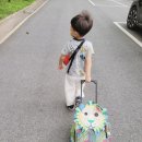 쌩텀펜션 | 제주도 한달살기 D1 퀸메리호 배에 내 차 싣고 목포에서 제주 가기, 한 달 동안 제주 우리 집 쌩텀펜션