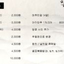 등뼈 가락점 이미지