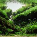 바람의숨결