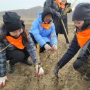 위러브유 국가 발전과 나무 심기에 기여한 녹색 몽골리아 이미지