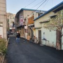 발안파출소 | 화성발안숨은맛집 밴댕이연탄구이 솔찍후기