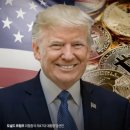 새금호약국 이미지