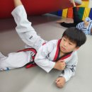 용인대홍익태권도장 이미지