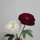 PeonyBlossom