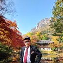 장성군청 이미지