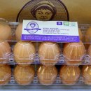 우물골농장 이미지