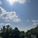 호연반점 이미지