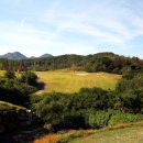 고원목장(2) 이미지