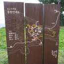 금오도 야영장