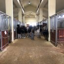 제주한라대학교 마사학부 실습승마장 이미지