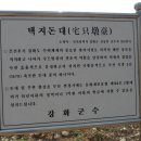 철새보러가는길 이미지