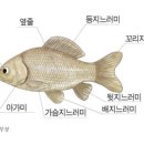 아이누리유치원 이미지