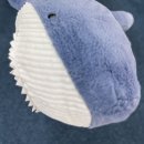 벨루가 | 잠실 롯데월드 아쿠아리움 아기 벨루가 교감 후기 할인 꿀팁!