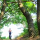 대흥면행정복지센터 이미지