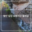 함안 대송리 늪지식물 | 함안 외범이산⛰️ 숲길 둘레길👣 짹짹커피 주차장🔄 남강 강변 데크길 걷기코스 가볼만한곳