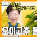 오이고추된장무침 오이고추무침 아삭이고추 된장무침 된장고추무침 오이고추 요리 이미지