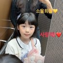 소율