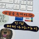 신이어마켙 2024 달력/스티커/엽서 후기👵👴🫶🏻🍀