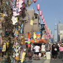 소리나팔꽃 | [東京 D+159]_이리야 나팔꽃 축제, 갓파바시 타나바타 마츠리, 팡메종