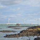 2025.09.18 제주도 여행 (싱계물공원,금능해수욕장,협재해수욕장) 이미지