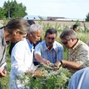 예술자연농식품 이미지